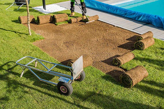 Lawn Installation